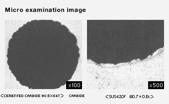Micro examination image Micro examination image